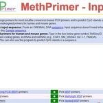Bisulfite Sequencing PCR (BSP) Method