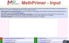 Bisulfite Sequencing PCR (BSP) Method