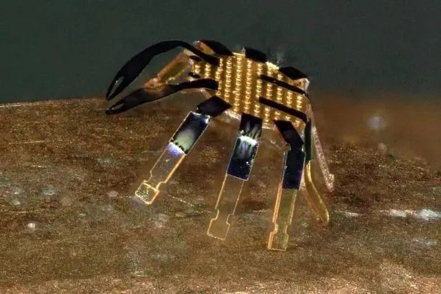 Micro Robots: The Cutting-Edge Technology