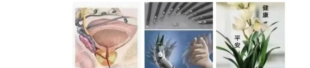 Da Vinci Surgical Robot System