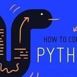 Beginner's Guide to Python Web Scraping: Easy to Understand