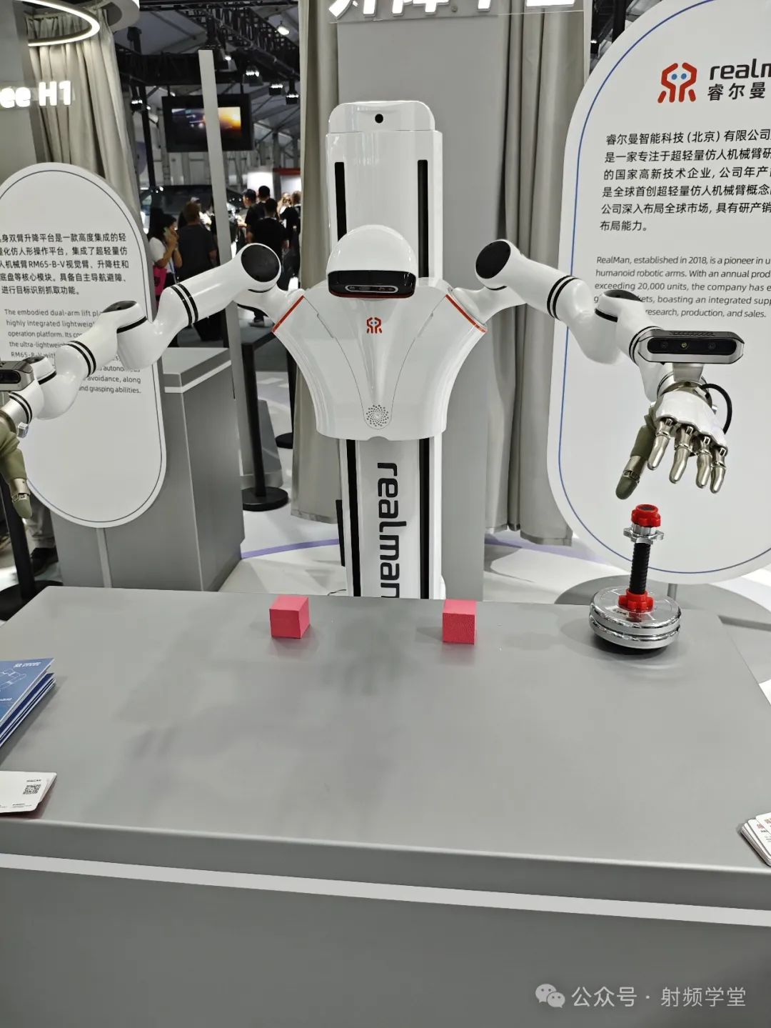RF Modules in Humanoid Robots: An Overview
