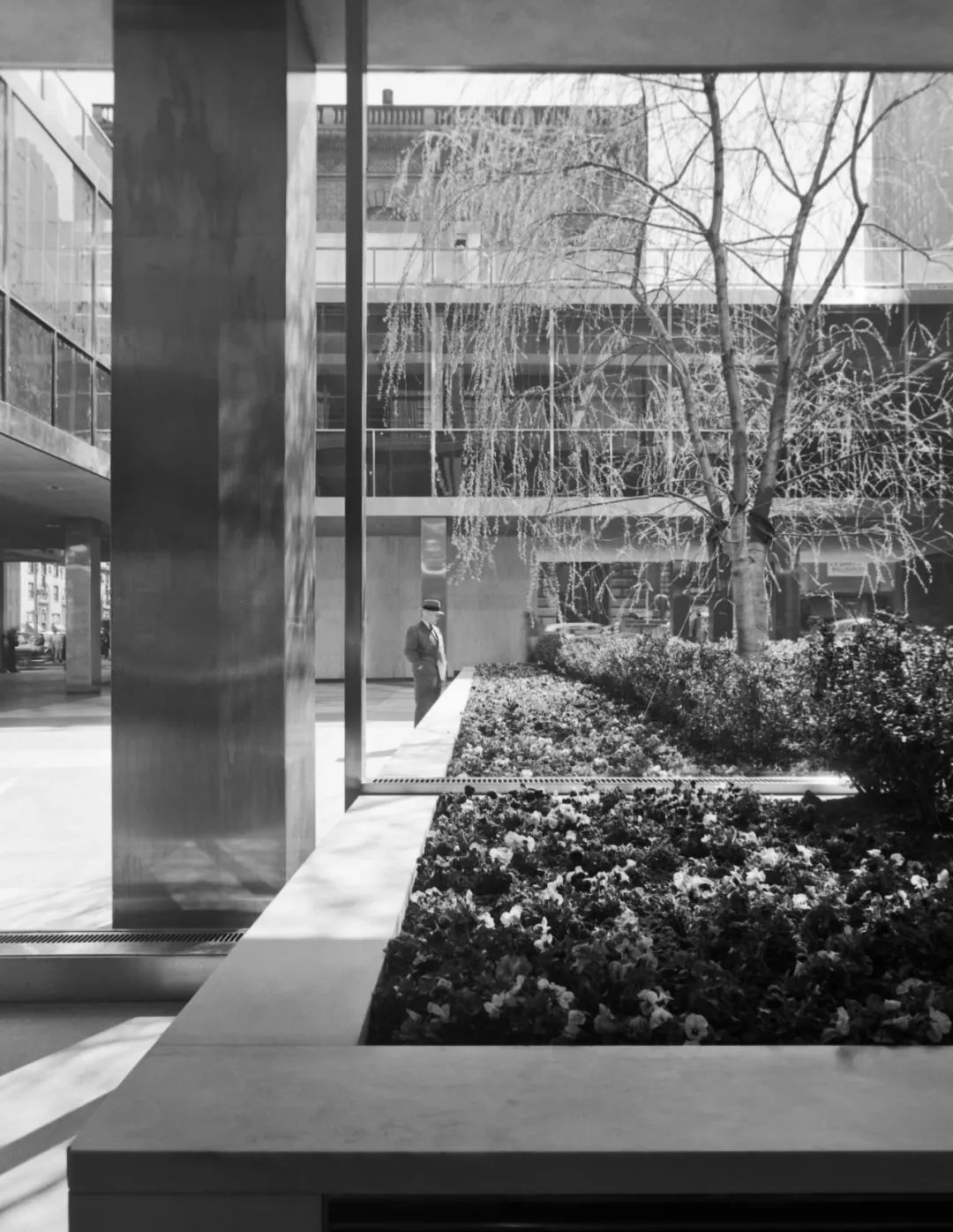 Thoughts on Headquarters Design by Silas Chiow and Qiu Huikang