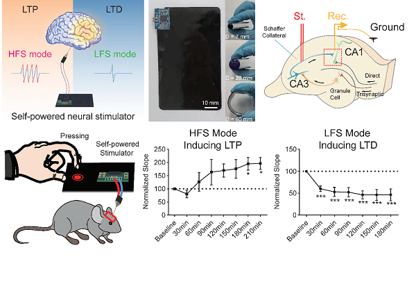 Bidirectional Regulation of Neural Plasticity Using Self-Powered Devices