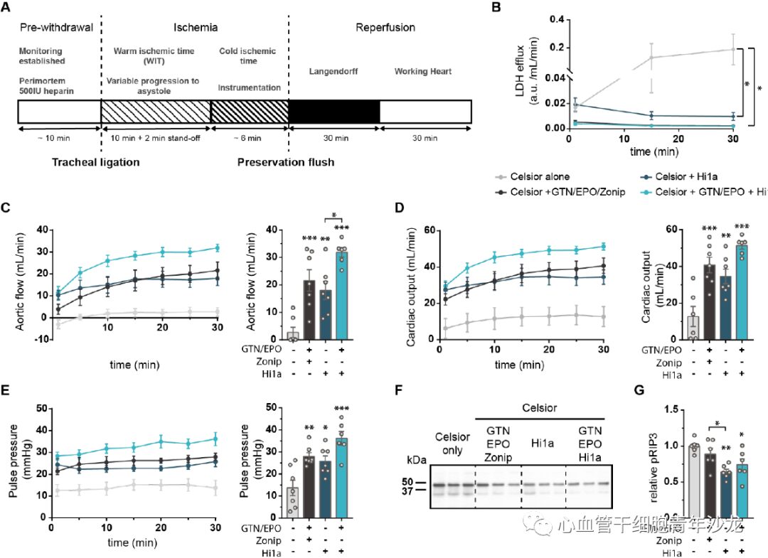 Therapeutic Inhibition of Acid Sensing Ion Channel 1a Recovers Heart Function After Ischemia-Reperfusion Injury