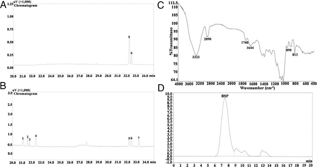 Extraction, Purification, and Gastroprotective Activity of Glucomannan from Bletilla Striata