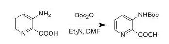 Protection of Amines with Boc Group