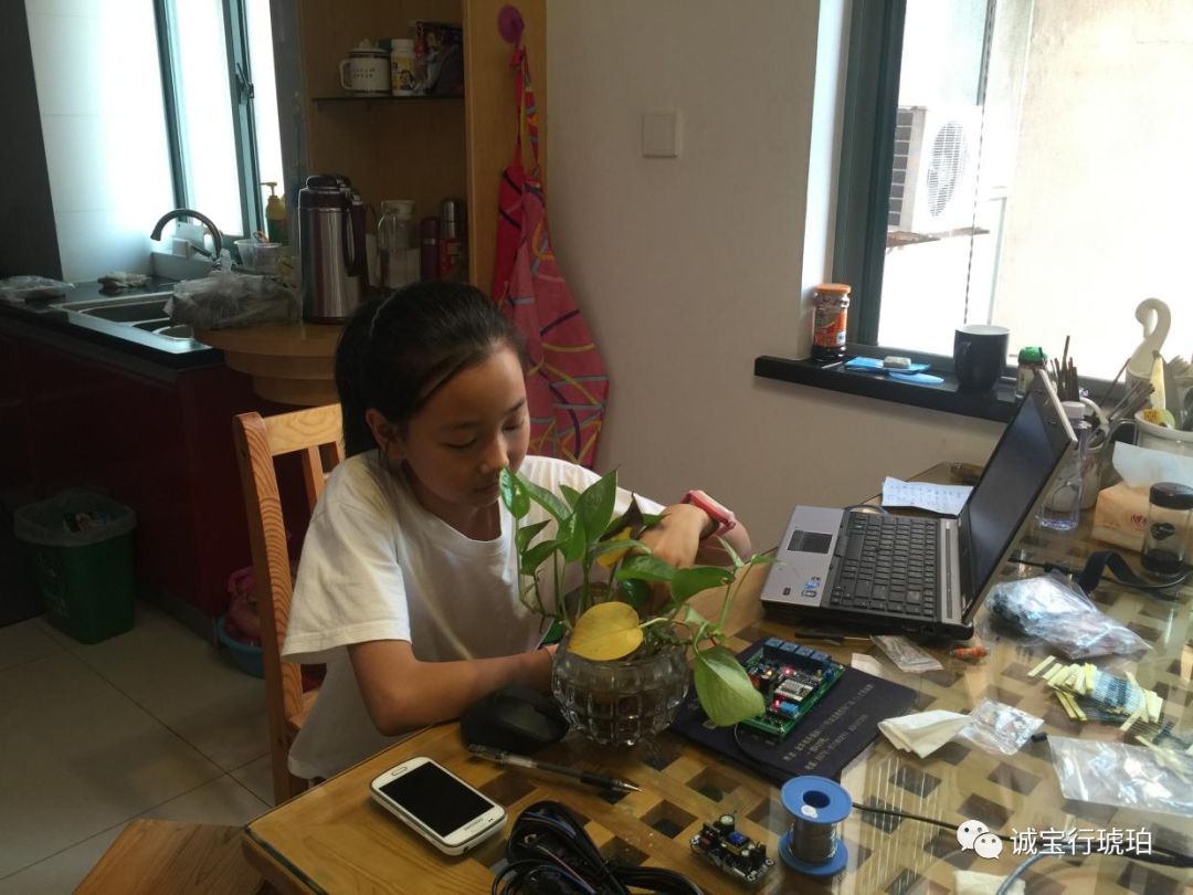 Research Paper on IoT-Based Smart Plant Care System