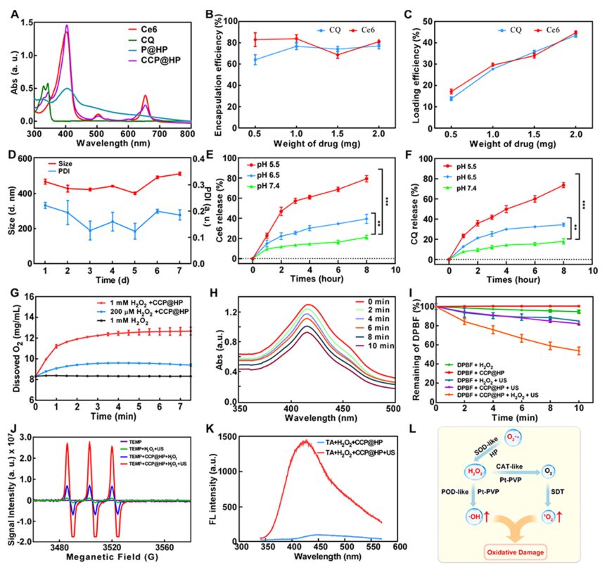 Cascaded Nano-Reactor Enhances Sonodynamic Therapy for Colon Cancer