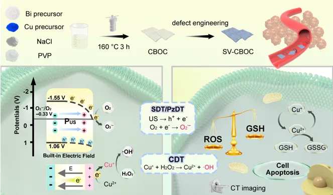 Oxygen Vacancy Piezoelectric Nanosheets for Ultrasound Tumor Therapy