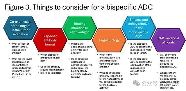 Comprehensive Understanding of ADC Bispecific Antibodies