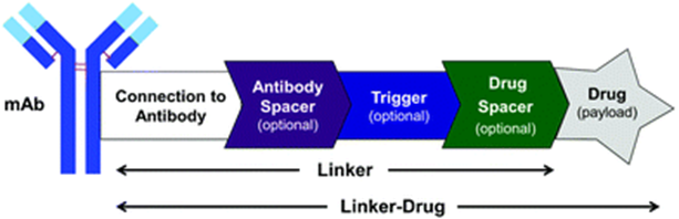 Understanding DAC Design Points and Representative Cases in PROTAC