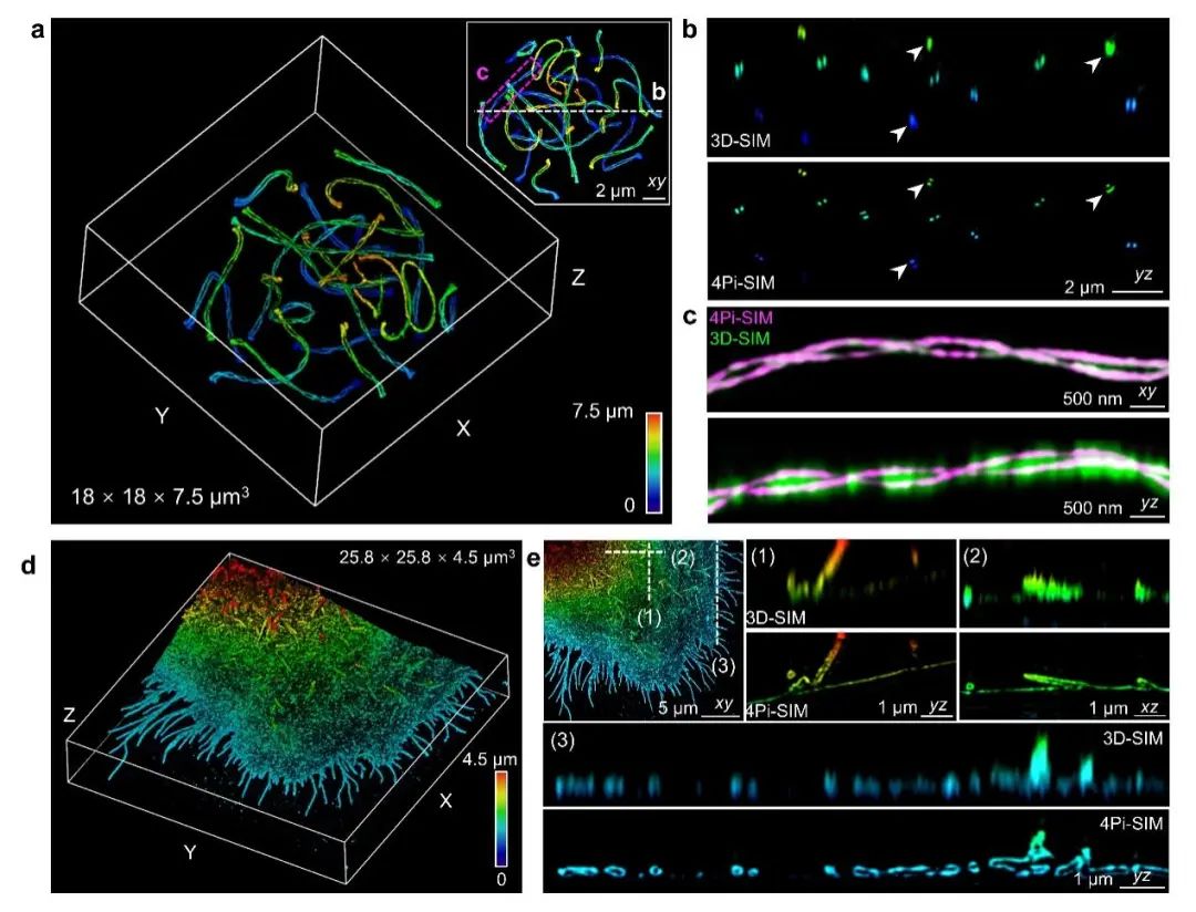 4Pi-SIM Imaging Technology for Live Cell 3D Resolution