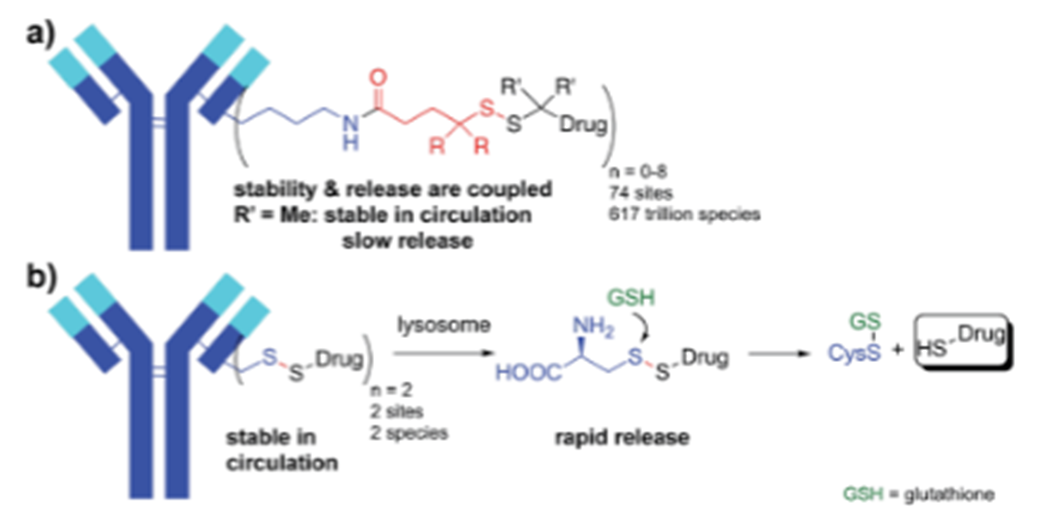 Mechanisms of ADC Toxicity and Strategies to Enhance Tolerability