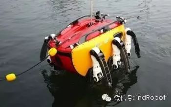 Exploring Beautiful and Adorable Bionic Robots