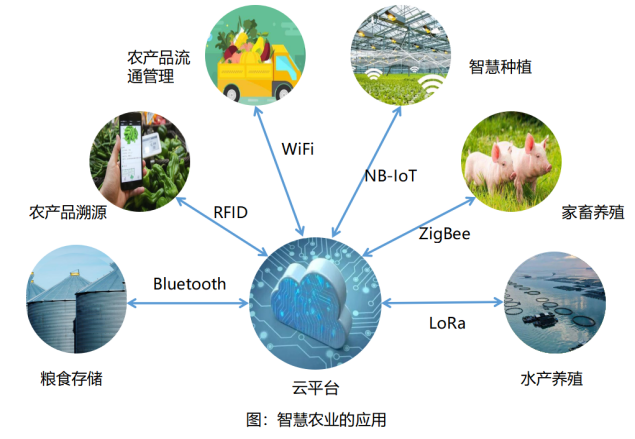Understanding IoT Technology