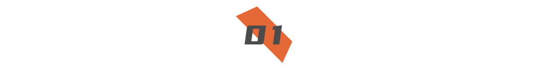 The Rise and Fall of a Domestic CPU: A Case Study