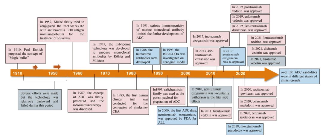 Immunomodulatory ADCs: A New Weapon Against Autoimmune Diseases