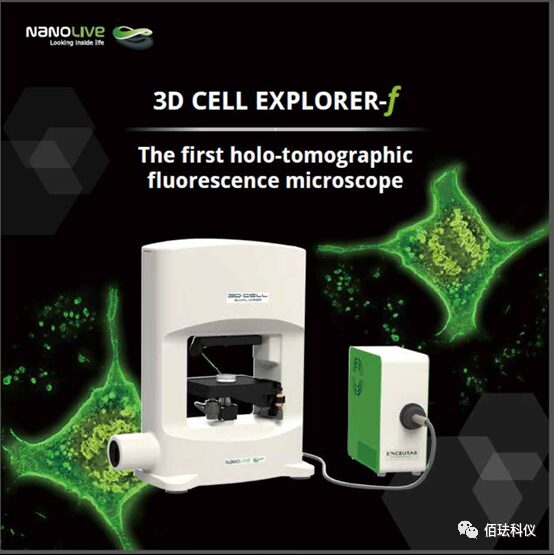 Monitoring Pyroptosis in B16 Cells Using Holographic 3D Imaging