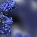15 ADC Drugs: Usage and Dosage Summary