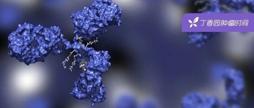 15 ADC Drugs: Usage and Dosage Summary
