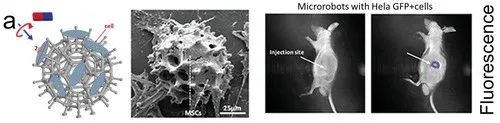 Review: Medical Micro/Nanorobots in Precision Medicine