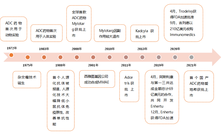 The Development Momentum of ADC Drugs