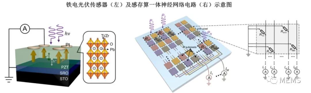 Integrated Ferroelectric Photovoltaic Sensor Network for Zero-Energy Image Perception