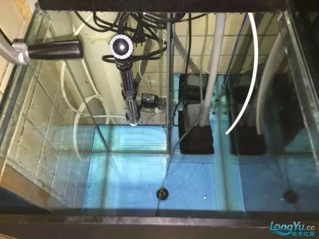 DIY Fully Automatic Water Change System