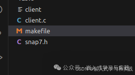 Setting Dynamic Library Path Parameters in Makefile
