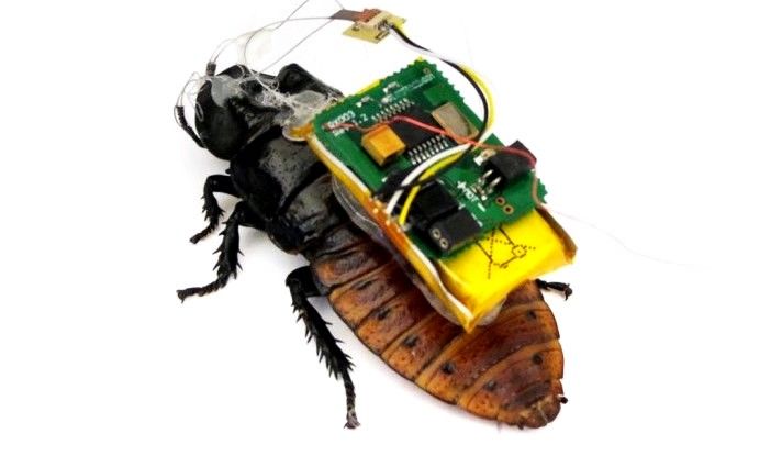 Micro Robots and Their Capabilities
