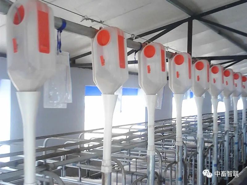 Analysis of the Underlying Logic and Equipment Costs of Smart Feeding