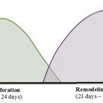 Postoperative Wound Management