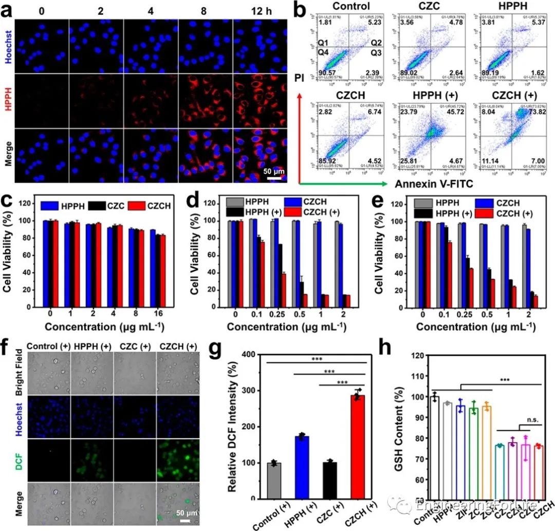 Self-Oxygenating & Glutathione-Depleting Microneedle Patch for Photodynamic Therapy of Tumors