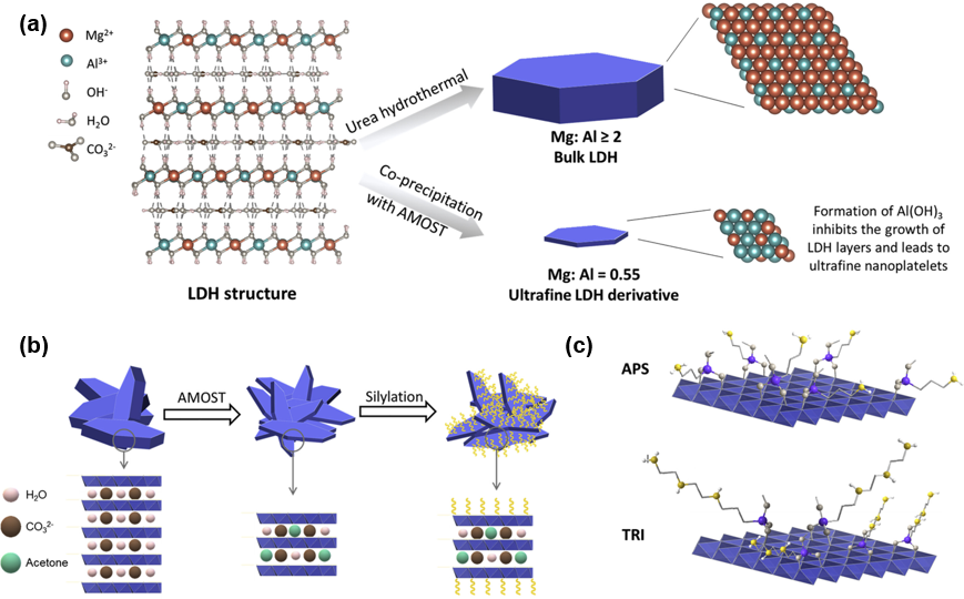 Overview of CSR by Shanghai Jiao Tong University's ITEWA Team: Adsorption Method for Direct Air Capture of CO2