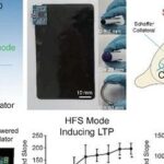 Bidirectional Regulation of Neural Plasticity Using Self-Powered Devices