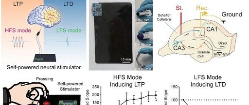 Bidirectional Regulation of Neural Plasticity Using Self-Powered Devices