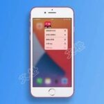 Choicy: Manage Plugin Injection to Resolve App Crashes