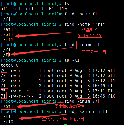 Linux File Search Tools: Locate vs Find