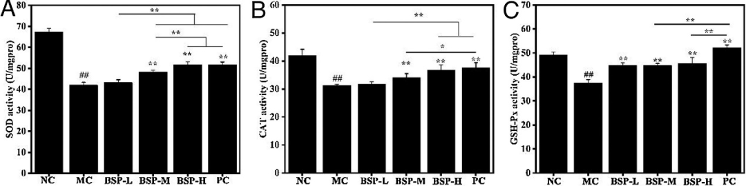 Extraction, Purification, and Gastroprotective Activity of Glucomannan from Bletilla Striata