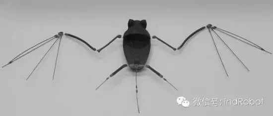 Exploring Beautiful and Adorable Bionic Robots