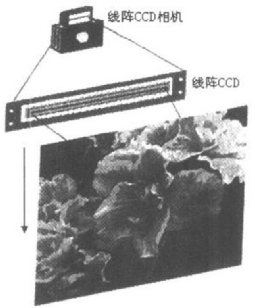 CCD Image Sensors: Revolutionizing Image Recording