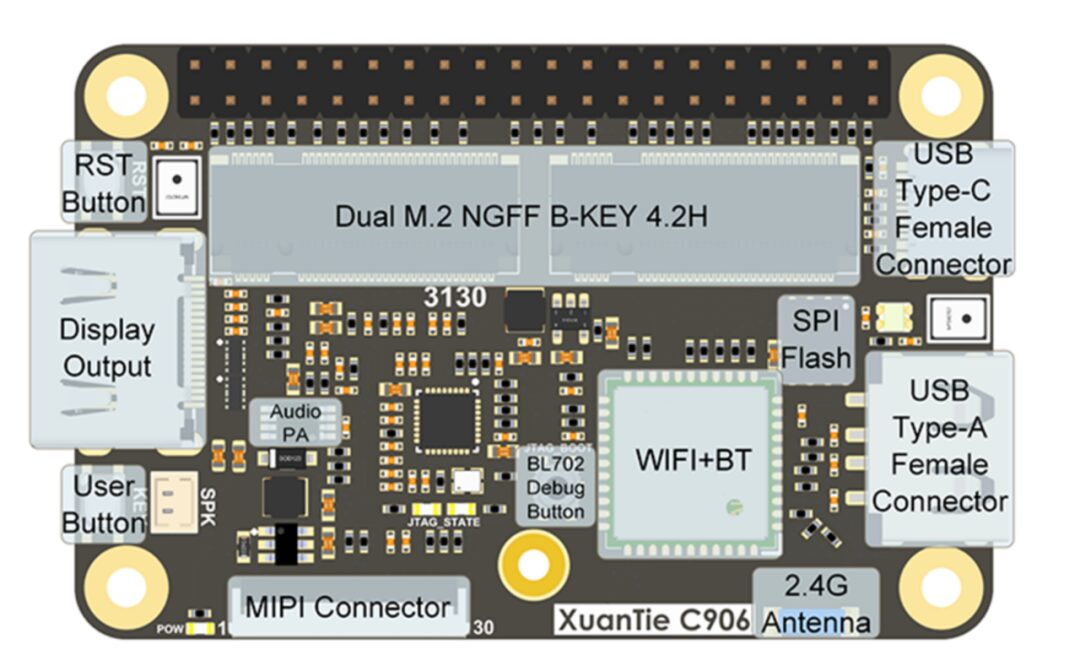 Lichee D1 DocK Pro Development Board Review