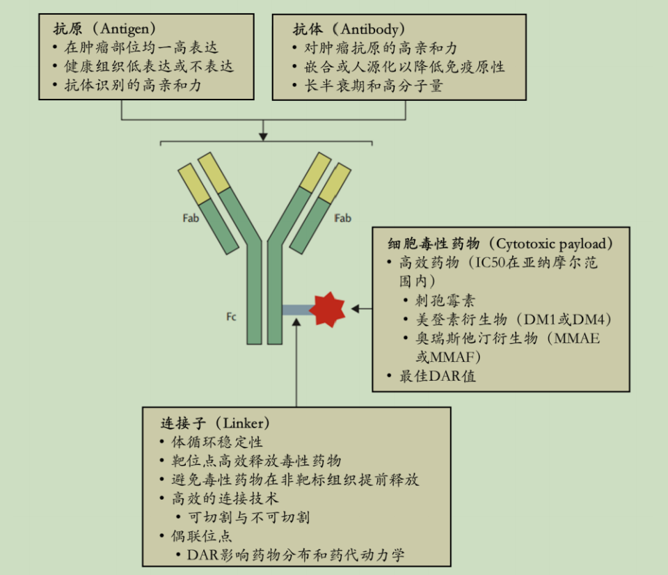 Physicochemical Analysis and Structural Characterization of Antibody-Drug Conjugates (ADCs)