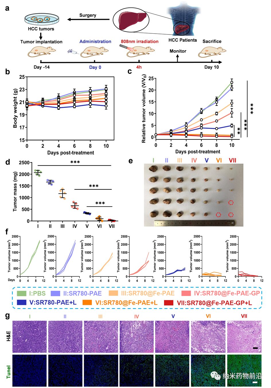 pH-Activated Nanoplatform for Tumor Therapy