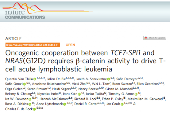 The Oncogenic Cooperation of TCF7-SPI1 and NRAS in T-ALL