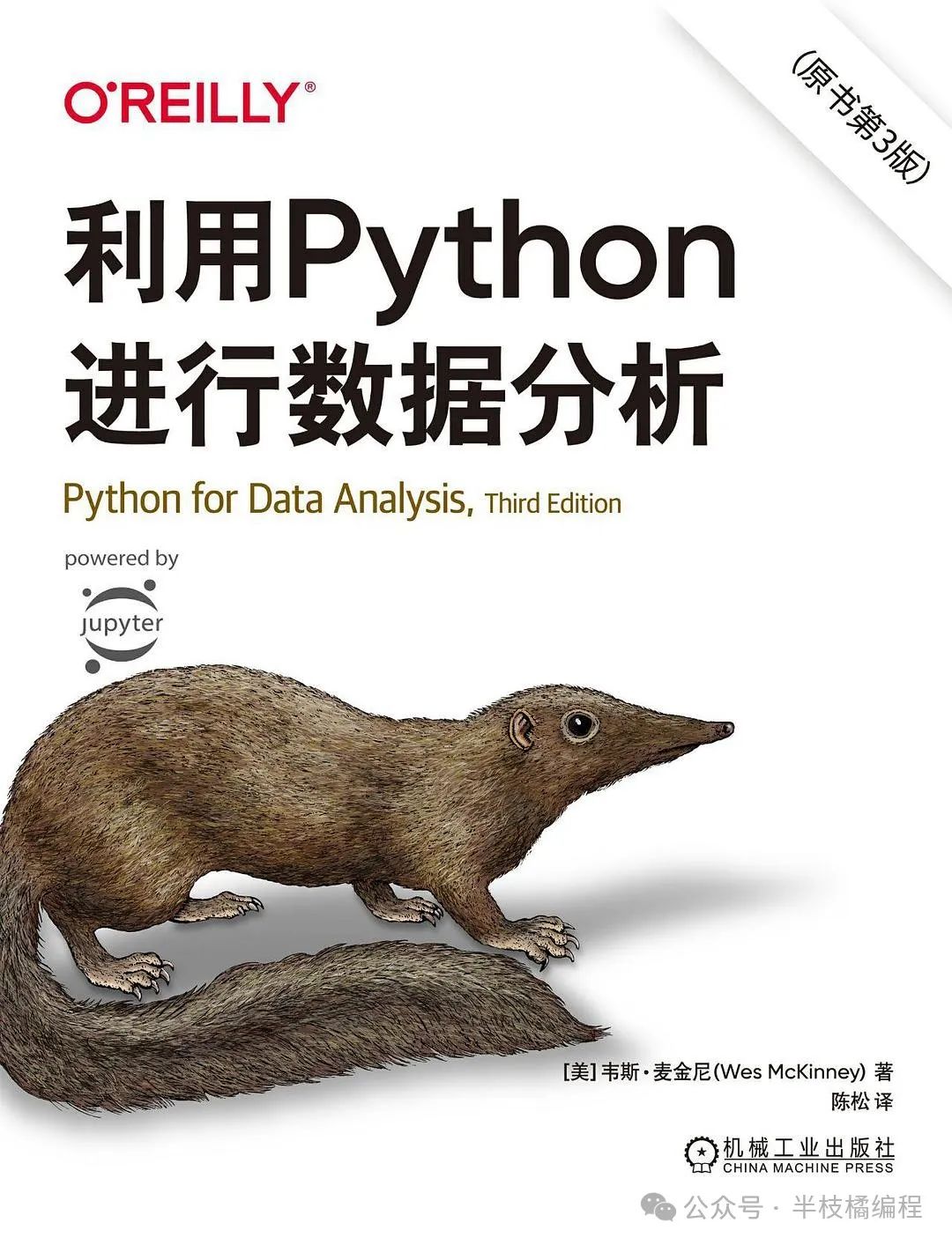 16 Must-Read Python Books for Beginners