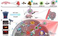 pH-Activated Nanoplatform for Tumor Therapy