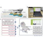 Flexible Intelligent Sparse Sensor Network for Infant Movement Assessment
